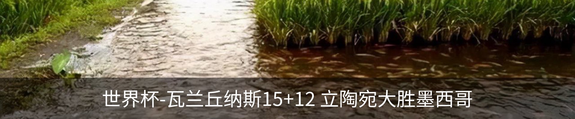 资讯中心
