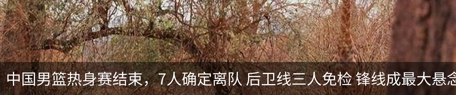 资讯中心